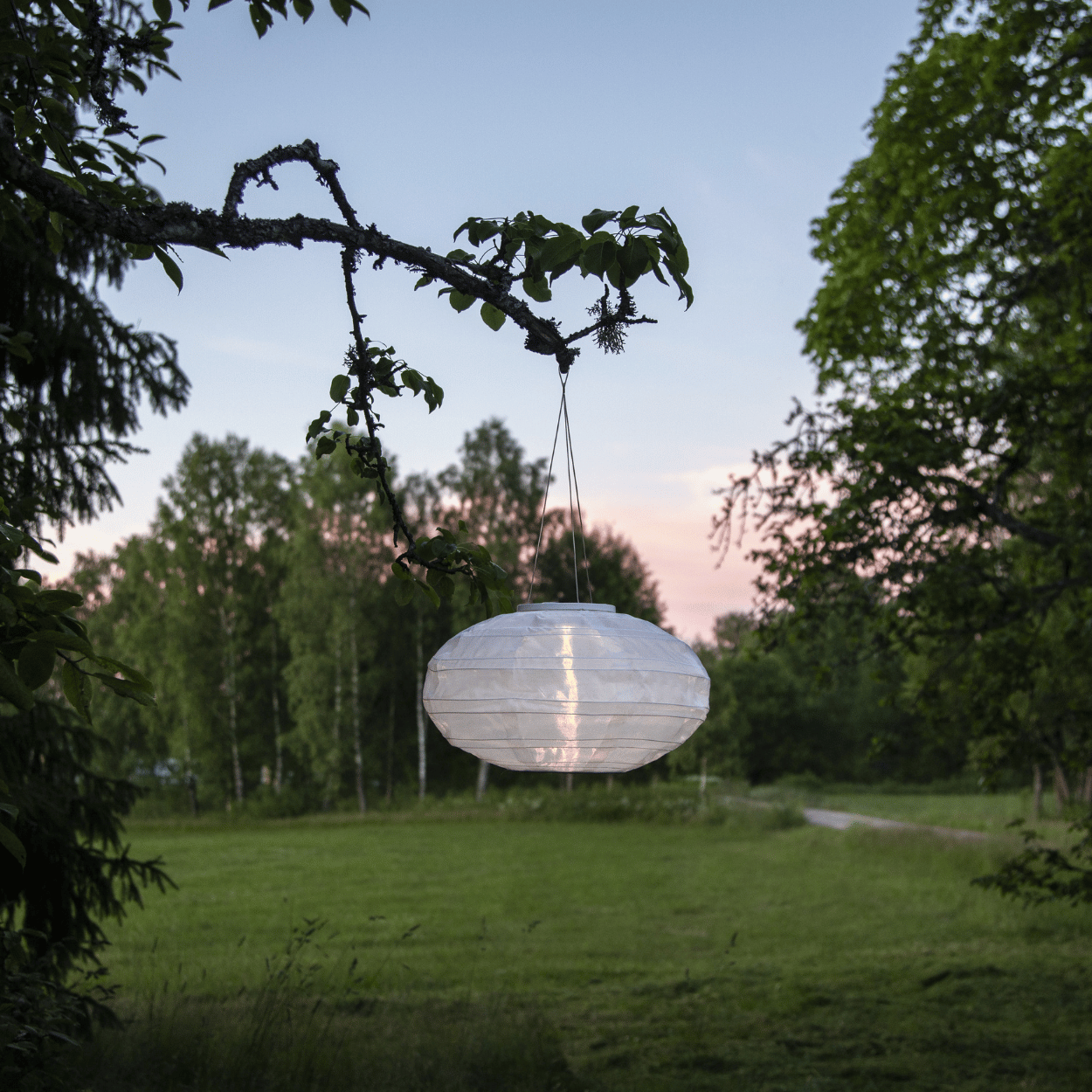 Solar Lampionenset – Wit – Festival – Ovaal & Rond – Solar Tuinverlichting