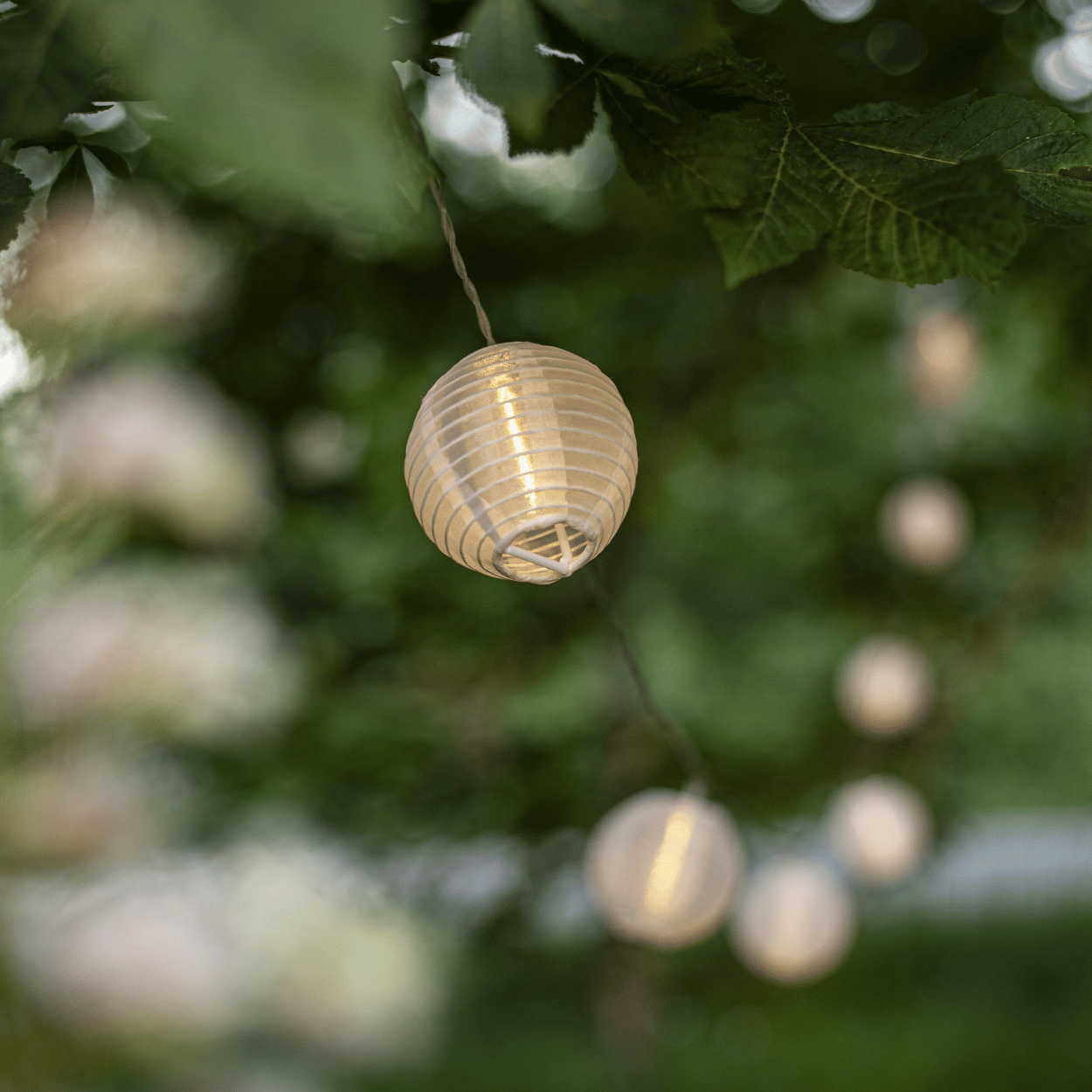 LED Lichtsnoer – Festival – Witte Papieren Lampions – Binnen & Buiten – 10 Lampjes