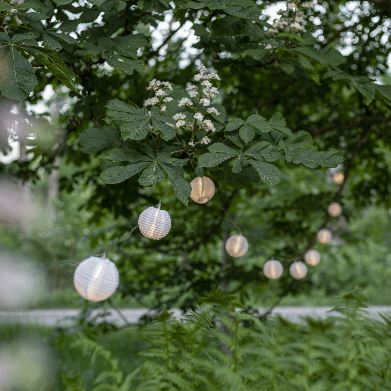 LED Lichtsnoer – Festival – Witte Papieren Lampions – Binnen & Buiten – 10 Lampjes