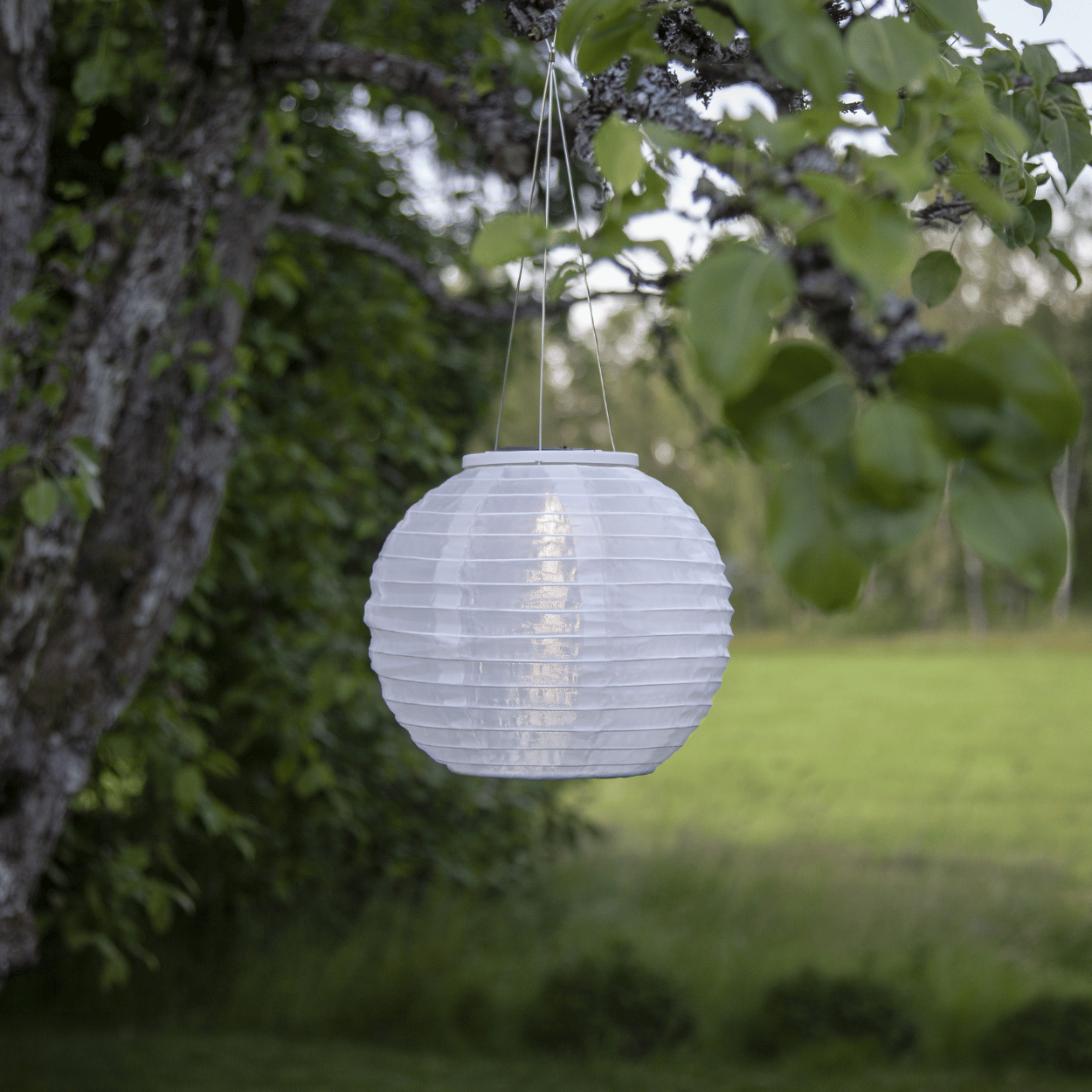 Solar Lantern Set – White – Festival – Oval &amp; Round – Solar Garden Lighting